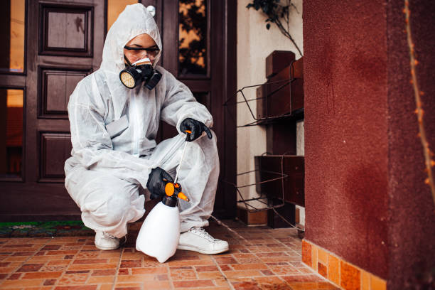 Reliable Wasp Removal contractor in East Bernard, TX by Show Me Pest Control